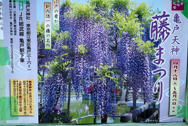 亀戸天神 藤まつり の土産の定番 天神煎餅 と 但元 の煎り豆 By バムセ マイケル 但元いり豆本店 たじもといりまめほんてん 亀戸 和菓子 食べログ