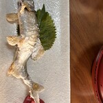 のむら川魚料理 - 