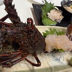 食事処 太平洋 - 伊勢海老のお造り