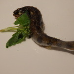 bb9 - 岐阜　天然あまご　薪焼き