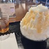 四季彩堂かや