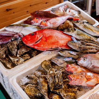 旬の新鮮な地魚を漁港から直接仕入れ！
