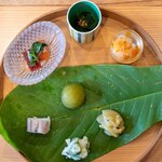 柚木元 - 2026.8 八寸