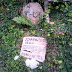 茶屋すーじ小 - 