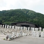 HAREYA - 