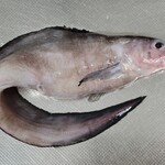 タチヤ - 料理写真: