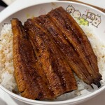 角上魚類 - 