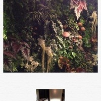 Shangri-La's secret ROPPONGI - 
