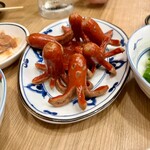 鉄板ホルモン 五の五 - 