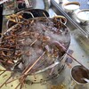 八幡屋 - 