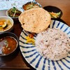 月と亀 - 鰯のつみれカレー定食+追加の小鉢カレー