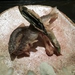 虎白 - （2015/4）稚鮎  行者大蒜の揚げ物