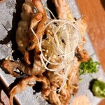鶏と魚と炭火焼き 燈 - 