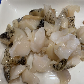 石毛魚類_0