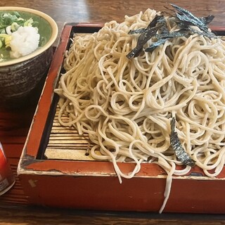 更科_1