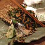 遊食屋 わらべえ - 桜エビのかき揚げ