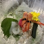 季譜の里 - 鱸洗い　太刀魚　甘海老