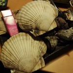 心人 - わたしがこれまでに頂いた中で一番大きな帆立です。たばこのケースと比較してみて下さい。驚くほどの大きさでした。