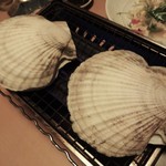 心人 - 帆立を2つ載せただけでコンロのうえの網がいっぱいになりました。5人分を焼くだけでも時間がかかりますが、焼き上がりを待つのも楽しみの一つです。