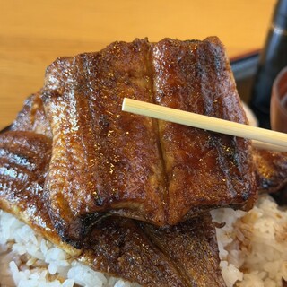 かも川_1