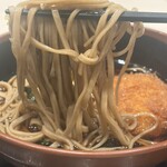 名代富士そば - 料理写真:麺リフト
