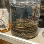 釣り人 しまちゃん - 