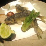 御料理 堀川 - 稚アユ