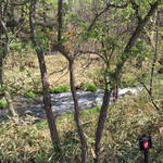 丸山珈琲  - 目の前には小川のせせらぎが