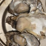 手羽先とかきをもっと自由に 大衆酒場 HANEGAKI - 