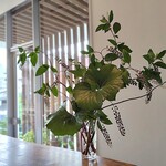リストランテ ボルゴ・コニシ - グリーンを基調とした清々しい店内