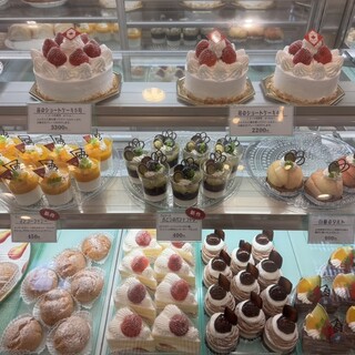バンフの森_0