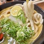 いぶきうどん - 料理写真: