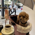 ドトールコーヒーショップ - ドリンク写真:ブレンドコーヒー