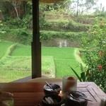 FOUR SEASONS RESORT BALI AT SAYAN - 2012年11月上旬。朝食は水田を見ながらバンガローで。