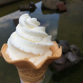 ゆうちゃんの郷_0