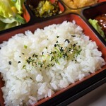 樹苑 - 