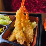 樹苑 - 