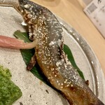 氣酒ととや - 