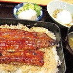 鳥安 - ランチうな重