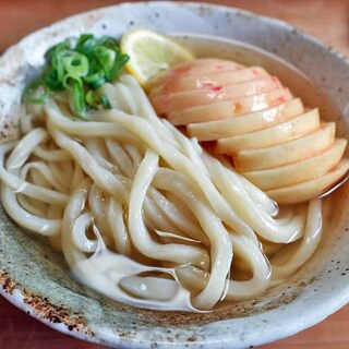 手打ちうどん ぶれーど・う_1