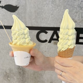 道の駅 小豆島オリーブ公園_0