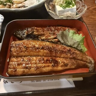 うなきち_1