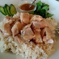 coci - weekday lunchセット『カオマンガイ』