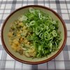 うどん 山口 - 料理写真:うどん１玉