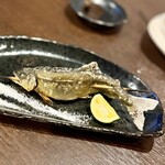 賽ノ目 - 今日は鮎さんがいまちた♪(๑ᴖ◡ᴖ๑)♪