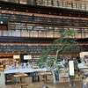 スターバックスコーヒー - 館内の雰囲気