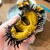 片倉うに屋 - 料理写真:殻付き雲丹