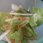 和の粋 - 2015.4.23サラダ