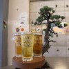 酒場道無道