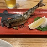 鮪と鮮魚とおでんと國酒 河内屋 - 